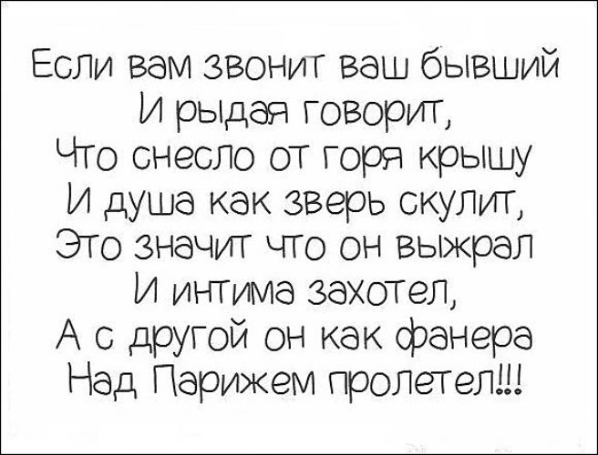 Позвони расскажи как твои дела акула