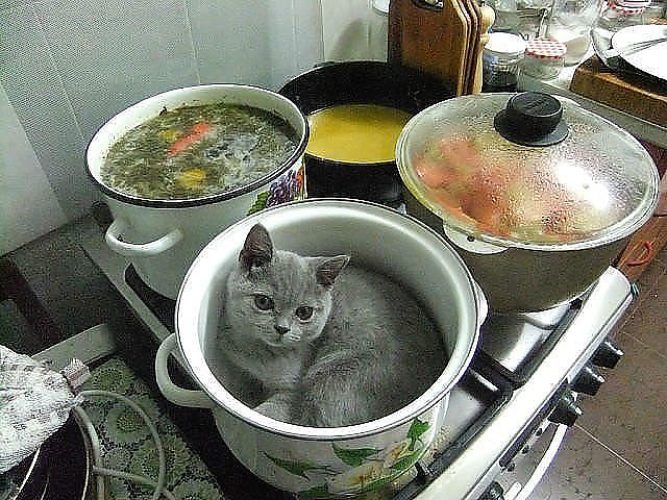 Сретенье господне, смешная картинка про суп