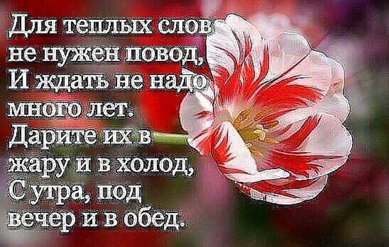 есть всем тепла статусы картинки кирпича