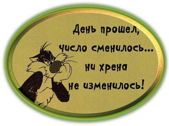 Картинки как прошел день прикольные, днем