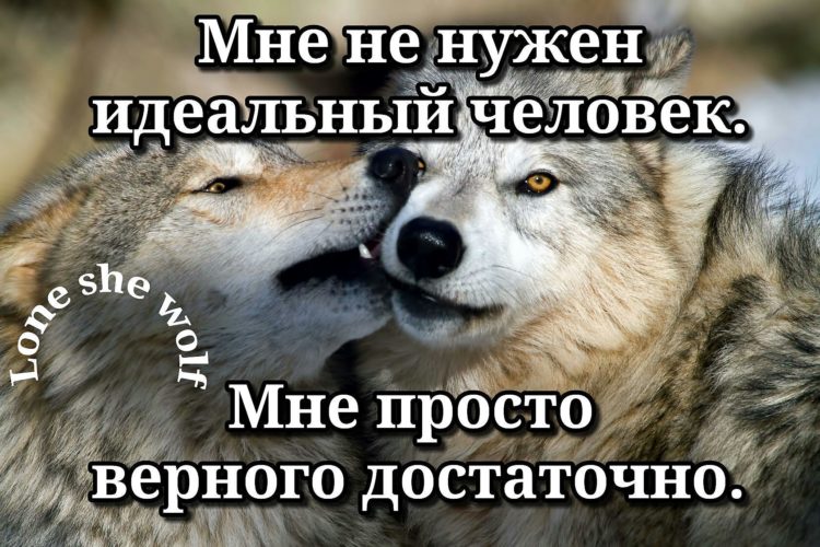 Надо верными. Мне не нужен идеальный человек. Мне не нужен идеальный. Мне не нужен идеальный человек мне достаточного верного. Мне не нужен идеальный человек мне достаточного верного картинки.