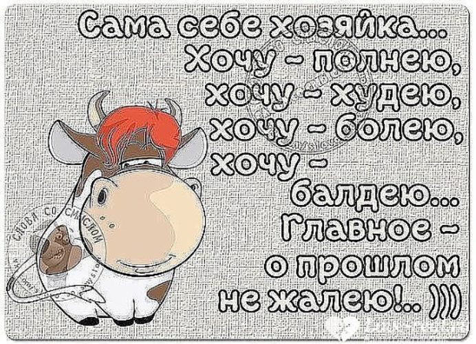 Сама себе хозяйка дзен видео