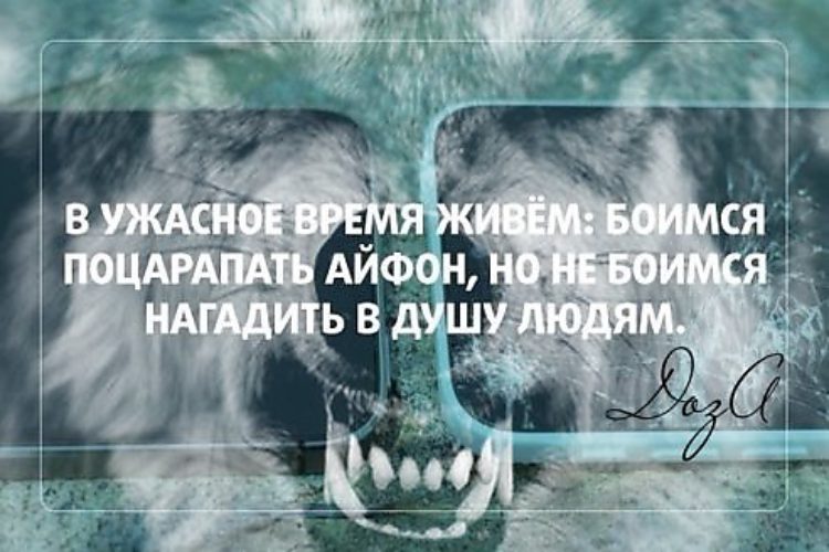 цитаты про страх. боятся поцарапать айфон. жила страха. цитаты что страшнее смерти. в ужасное время мы живём.
