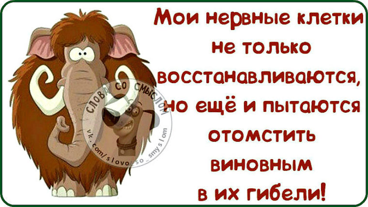 Если вас кто то не переваривает значит не сумел сожрать картинки