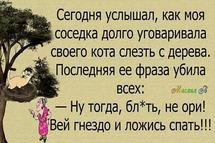 Последняя фраза. Не ори,Вей гнездо и ложись спать. Вей гнездо и ложись спать анекдоты. Сегодня услышал как моя соседка. Тогда Вей гнездо и ложись спать.