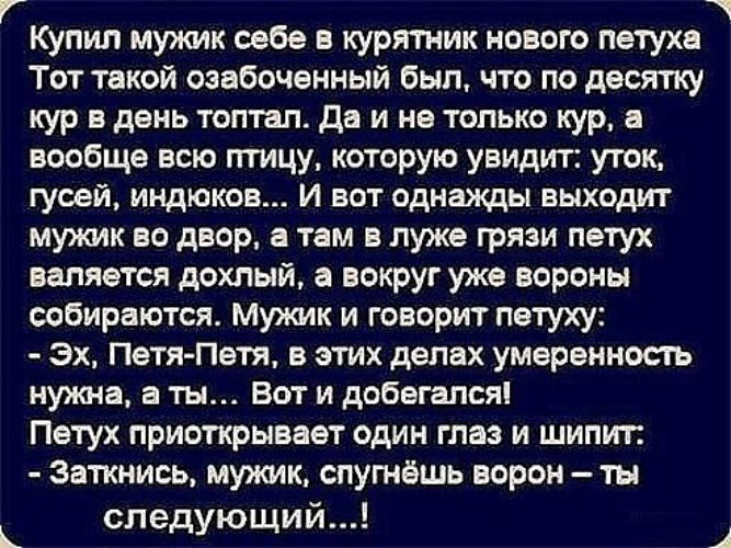 Что значит озабоченный человек. Озабоченные мужчины. Шутки про озабоченность. Шутки про озабоченных мужчин. Статусы про озабоченных мужчин.