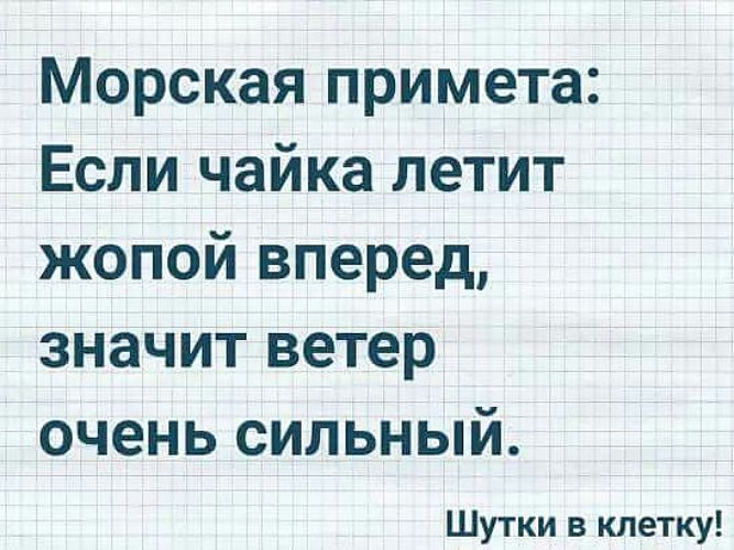 Значит вперед. Морская примета если Чайка летит. Морские приметы. Прикольные морские приметы. Если Чайка летит попой вперед сегодня сильный ветер.