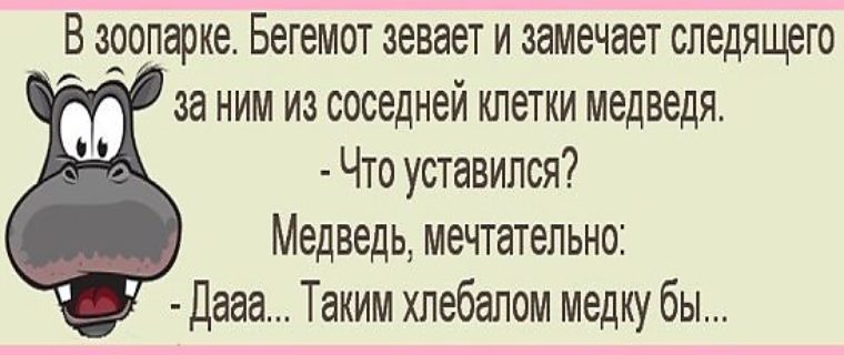Бегемот карта соседа