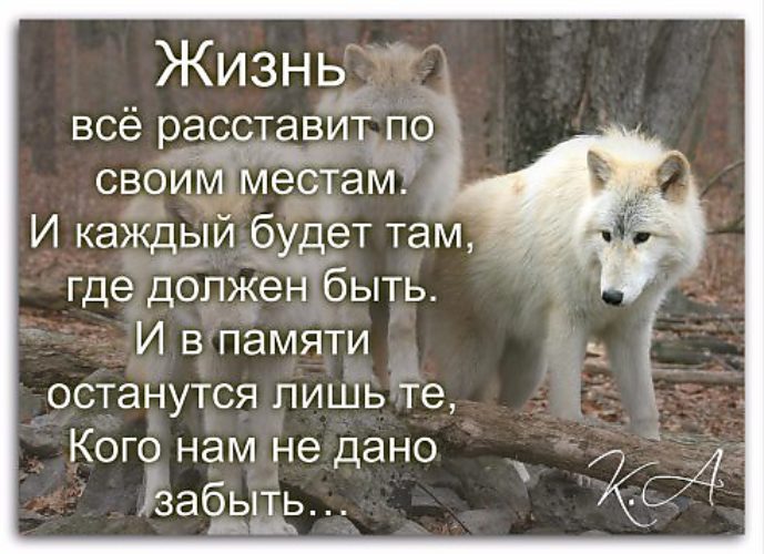 Жизнь все расставит по своим местам и каждый будет там где должен быть картинки