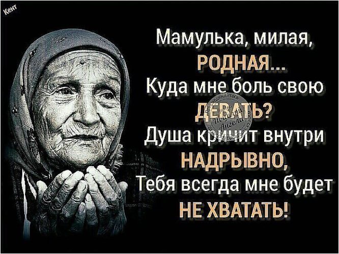 Цените своих мам картинка