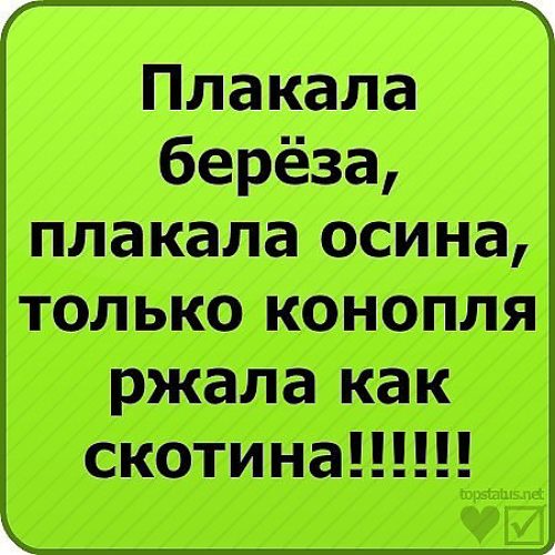 Очень смешные фразы до слез короткие в картинках