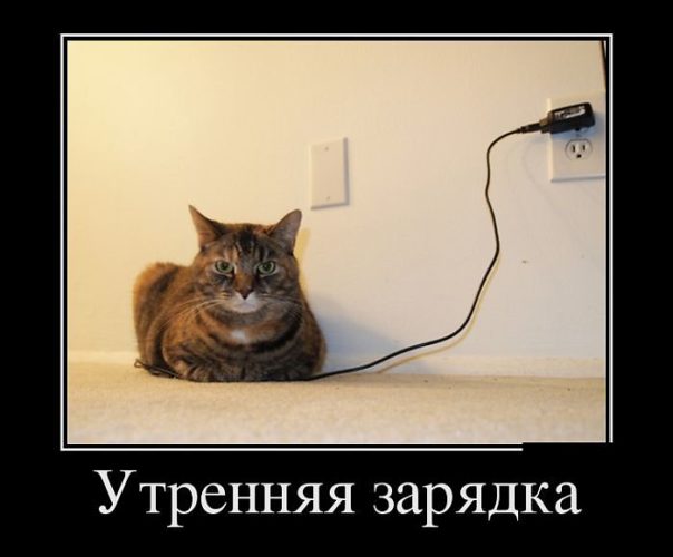 Секс Утро Энергия Секс Утро Энергия