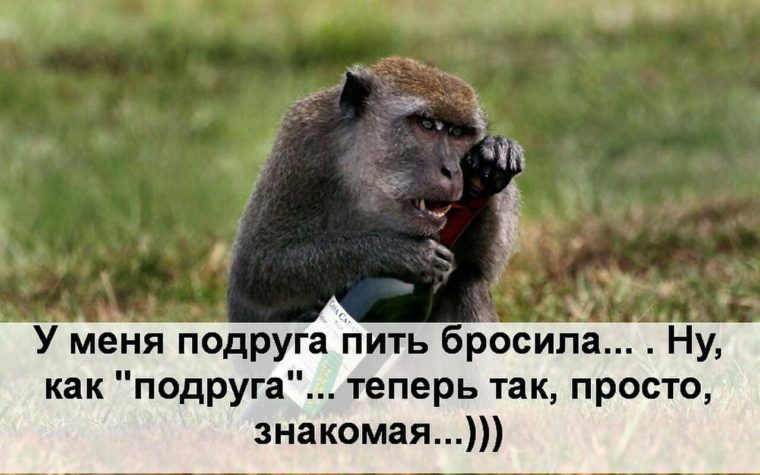 Бросил пить прикол картинки