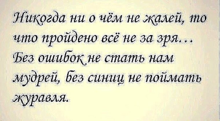 Высказывания ни. Жалеть цитаты. Цитаты не жалей. Не жалей ни о чем цитаты. Цитаты ни о чем не жалею.