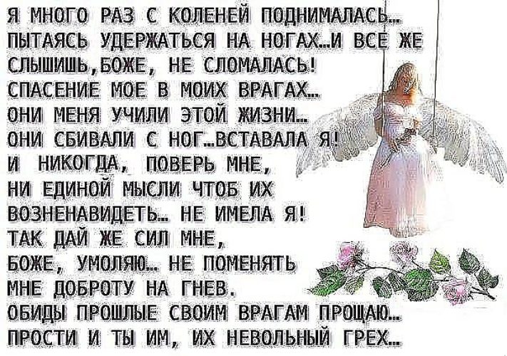 Стих поднимись. Стихи про врагов. Стихотворение для врагов. Стихи о прощении врагов. Стих моим врагам.