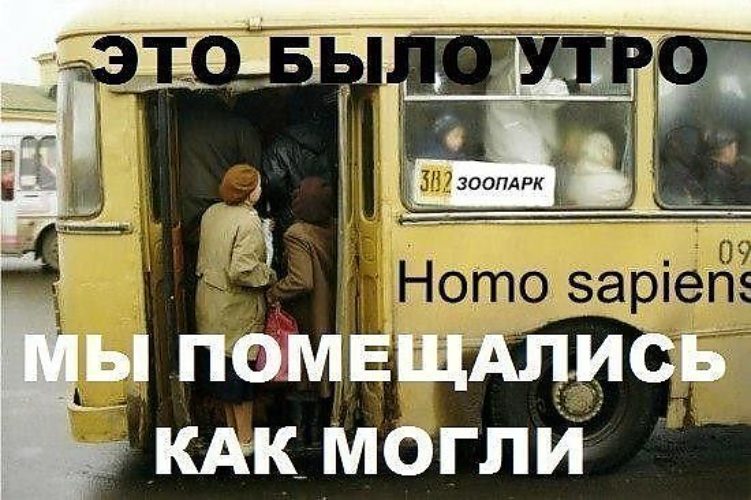 Юмор про автобус картинки