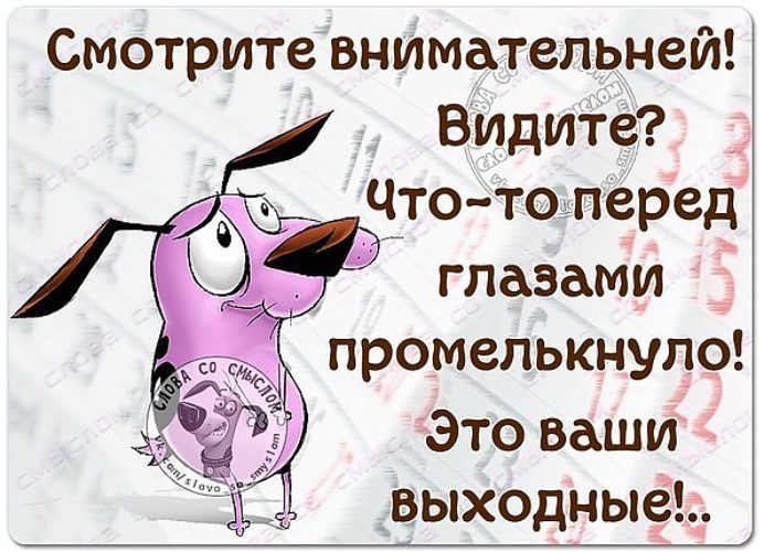 Перед вашим. Заметили что то перед глазами промелькнуло это ваши выходные. Видели что то промелькнуло перед глазами эти ваши выходные. Видели что-то промелькнуло перед глазами? Это ваши выходные. Что это промелькнуло выходные.