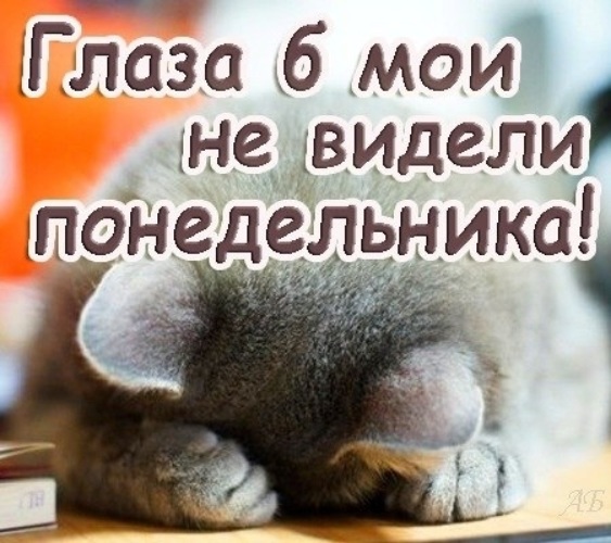 Глаза бы мои тебя не видели одним. Мои глаза в тебя не влюблены они твои пороки видят ясно но сердце. Романтика цитаты из книг. Глаза бы мои не видели этих понедельников. Глаза бы мои тебя не видели одним.