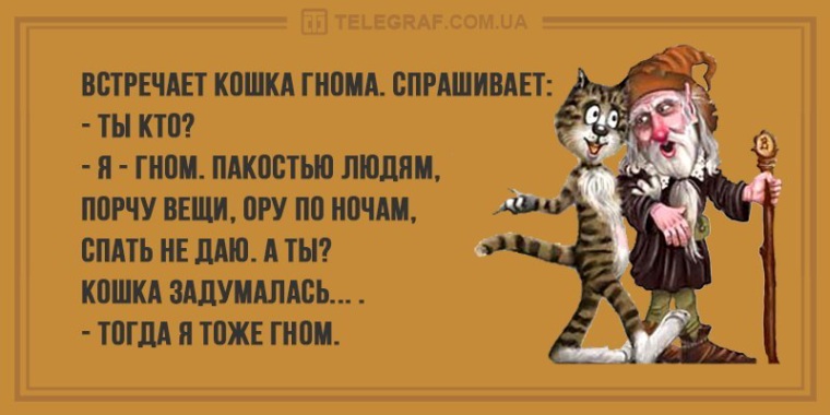 Встретила кошку. Анекдот про кошку и гнома. Пакость прикол. Встречает кошка гнома. Человек пакостник.