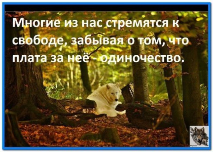 Цитаты про стремление. Человек получит то к чему он стремился обои. Все стремятся к свободе забывая что плата за это одиночество. О смысле жизни. К чему все стремятся.