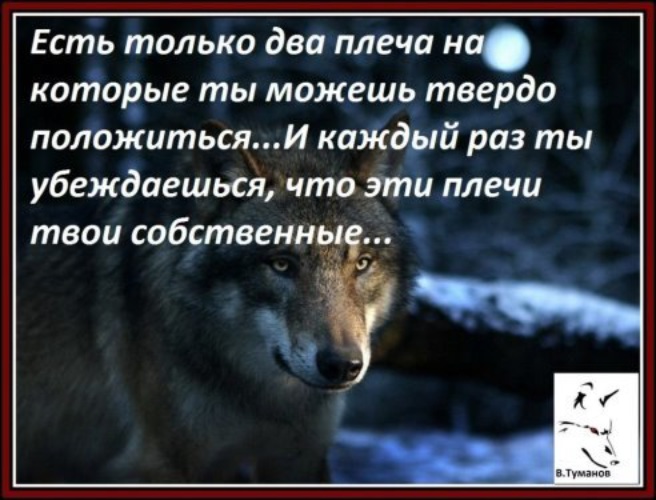 Есть два плеча на которые. Есть только два плеча на которые. Плечи на которые можно положиться. Есть только два плеча на которые ты. Единственные плечи на которые ты можешь положиться твои.