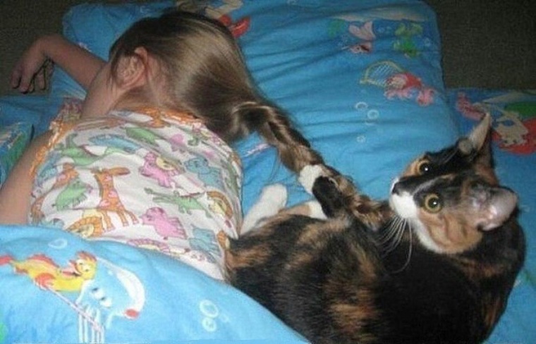 Картинки вставай вставай