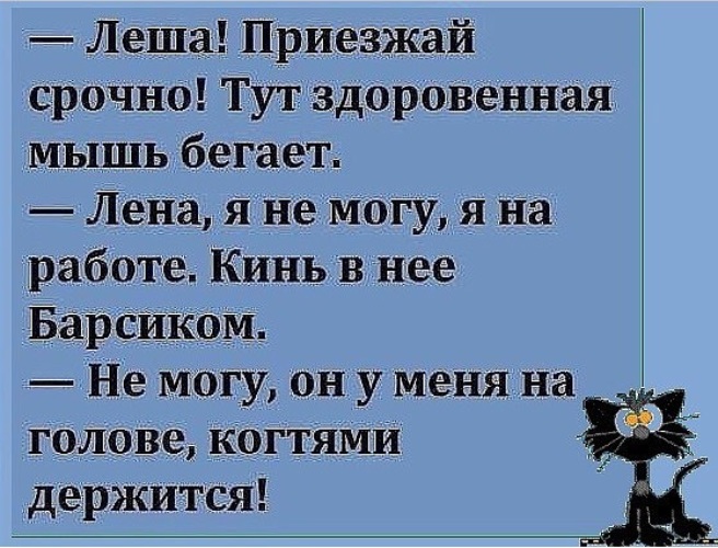 Срочно приехать. Леша приезжай. Приезжай срочно. Леша приедет. Прикол приехал лёша.