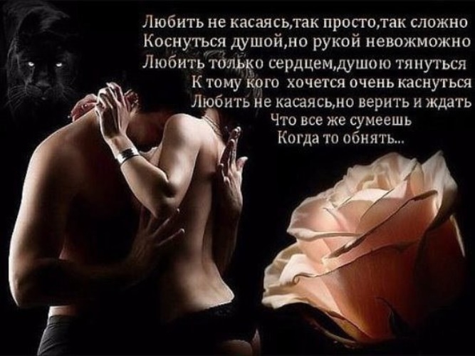 Эротичное Признание В Любви