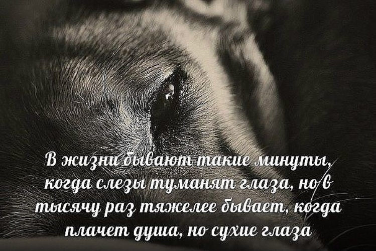 Открытки о боли на душе