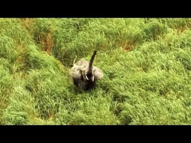 дом документальный фильм запрещенный в 36 странах. документальный фильм про страны мира. фильм дом запрещен в 36. дом жан артюс бертран. документальный фильм дом запрещенный к показу.