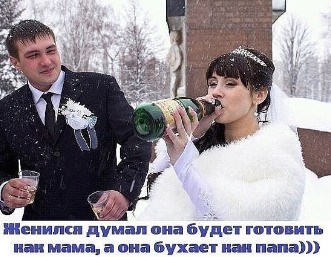 Лента по интересам - Юмор - 1513129 - Tabor.ru