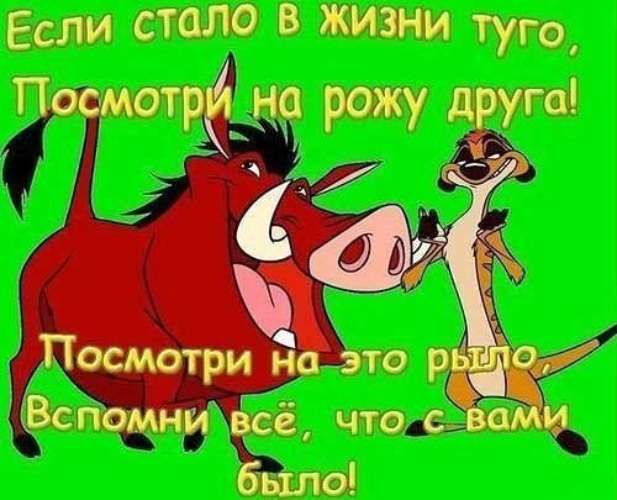открытки с юмором развеселить все