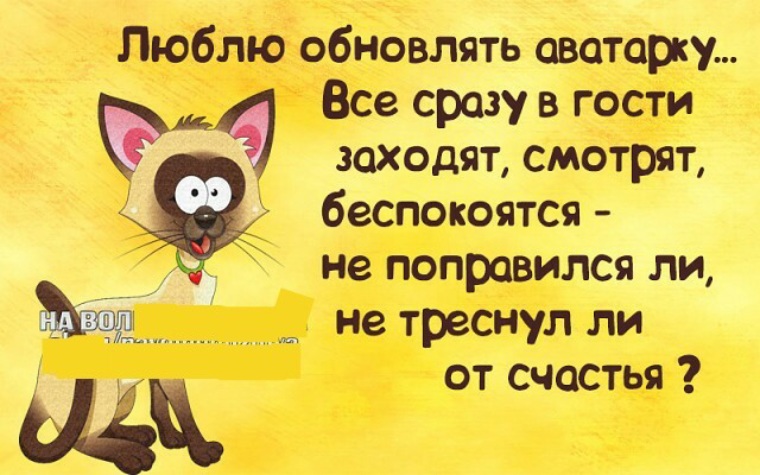 День обновления. Люблю обновлять. Страничка позитива. Люблю обновлять фотографию. Анекдоты аватарка.