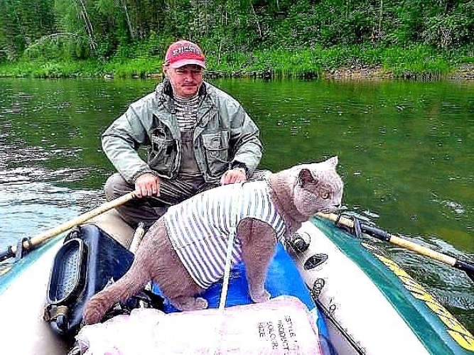 Смешное фото с рыбалки