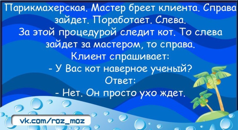 Свекровь пельмени. Свекровь и пельмени. Какой русский не любит быстрой езды откуда у бедного еврея деньги. Анекдот про вареники и свекровь. Золовка бывает хорошая.