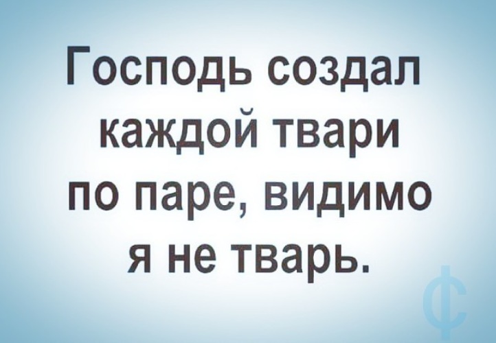 Каждой твари по паре книга. Бог создал каждой твари по паре. Всякой твари по паре. Каждой твари по паре прикол. Говорят Бог создал каждой тварей по паре стесняюсь спросить.