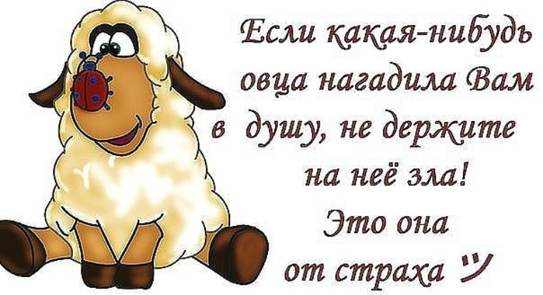 Это она вам сказала. Нагадили в душу. Если какая нибудь овца нагадила вам в душу. Овца нагадила в душу. Если какая нибудь овца нагадила вам в душу простите.