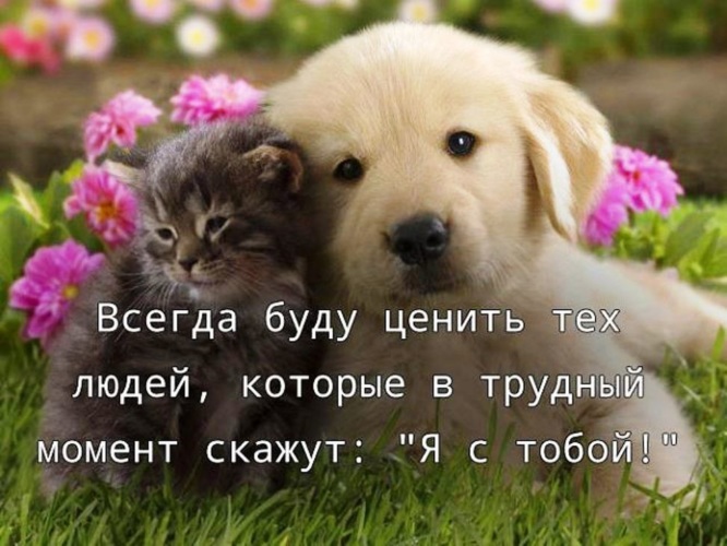 Спасибо Что Ты Есть Фото