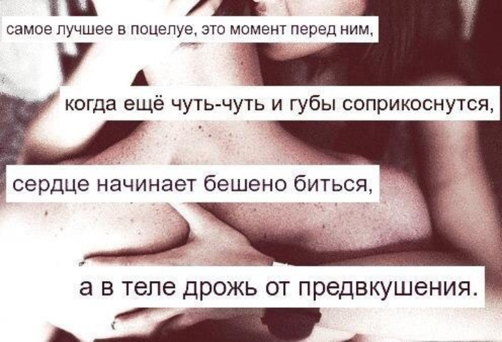 Этот момент. Фразы про поцелуй. Высказывания про поцелуи в шею. Цитаты про поцелуй. Цитаты про поцелуи в шею.