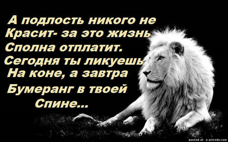 Подлость это. Статусы про подлых людей. Цитаты про подлых людей со смыслом. Статусы про подлость. Цитаты про подлых.