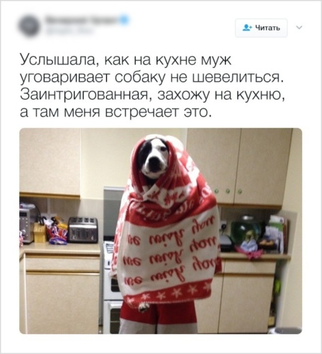 Заходишь на кухню а там эти