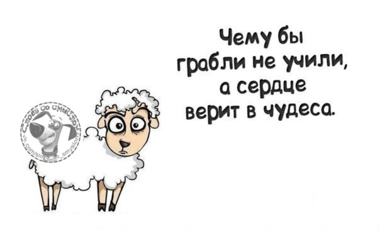 Чему бы грабли не учили а сердце верит в чудеса. Грабли учат а сердце верит в чудеса. Сердце верит. Чему бы грабли не учили а сердце верит в чудеса картинки. Вишнякова сердце верит. Чему бы грабли не учили а сердце верит в чудеса. Грабли учат а сердце верит в чудеса. Сердце верит. Чему бы грабли не учили а сердце верит в чудеса картинки.