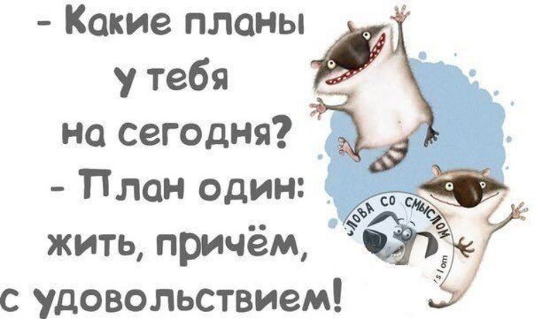 прикольные картинки открытки план на сегодня есть