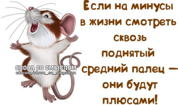 Тему, картинки для настроения смешные с со стихами