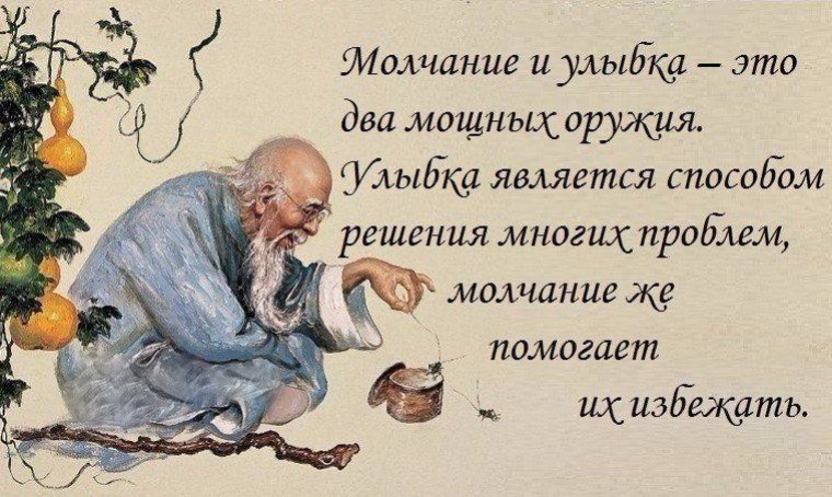 Афоризм про открытки, собаками приколы чего