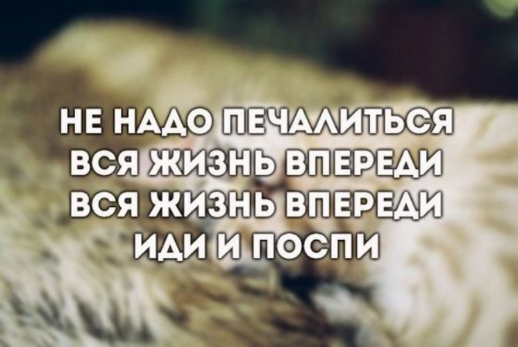 Песня не надо печалиться вся жизнь