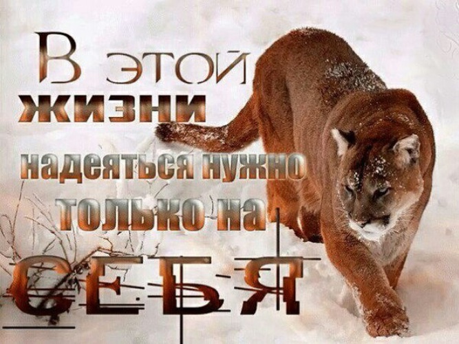 снял картинки не надейся нам жизни