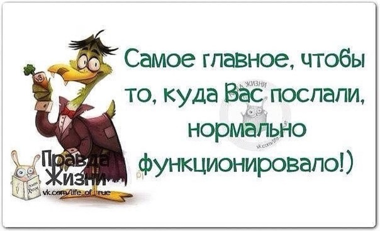 Хороший посылать. Цитаты про жизнь с юмором поднимающие настроение. Девиз по жизни с юмором для настроения. С юмором о главном. Девиз по жизни с юмором для настроения короткие.