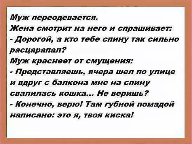 Доверяю конечно. Анекдот про смущение. Фразы для смущения. Анекдот про спину расцарапанную. Как понять что ты покраснел от смущения.