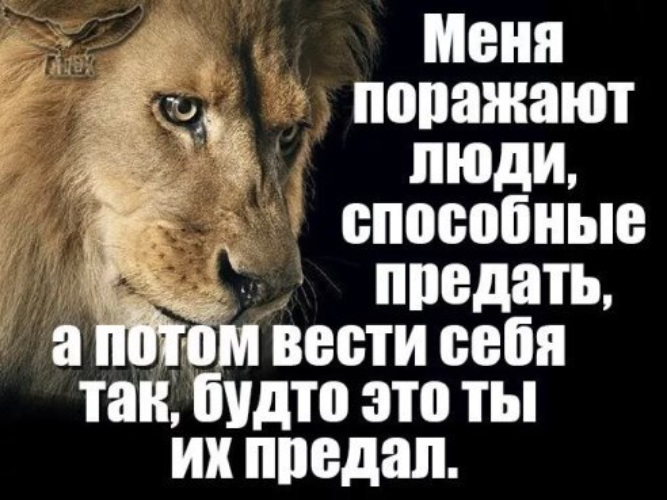 Перед вами когда нибудь извинялся лев или скорпион картинка